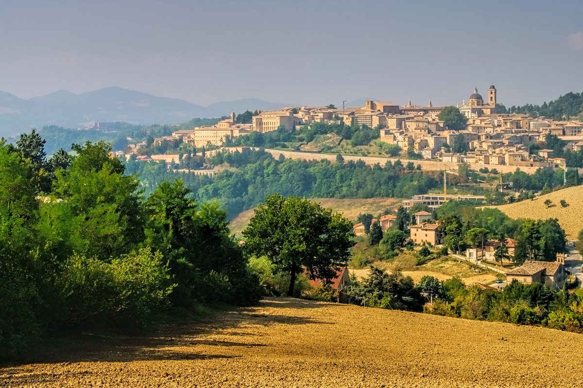 Urbino 83287627 123 RF