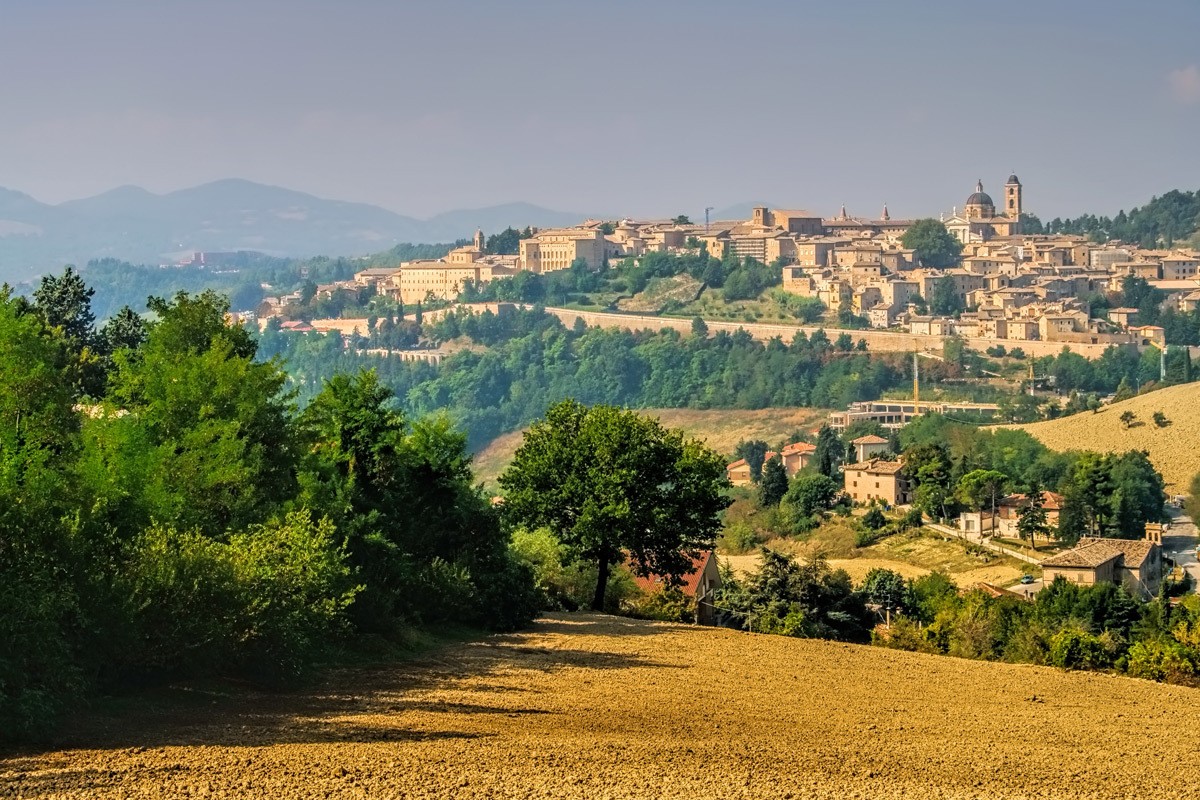 Urbino 83287627 123 RF
