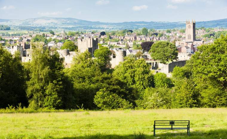 Ludlow 25413133 123 RF
