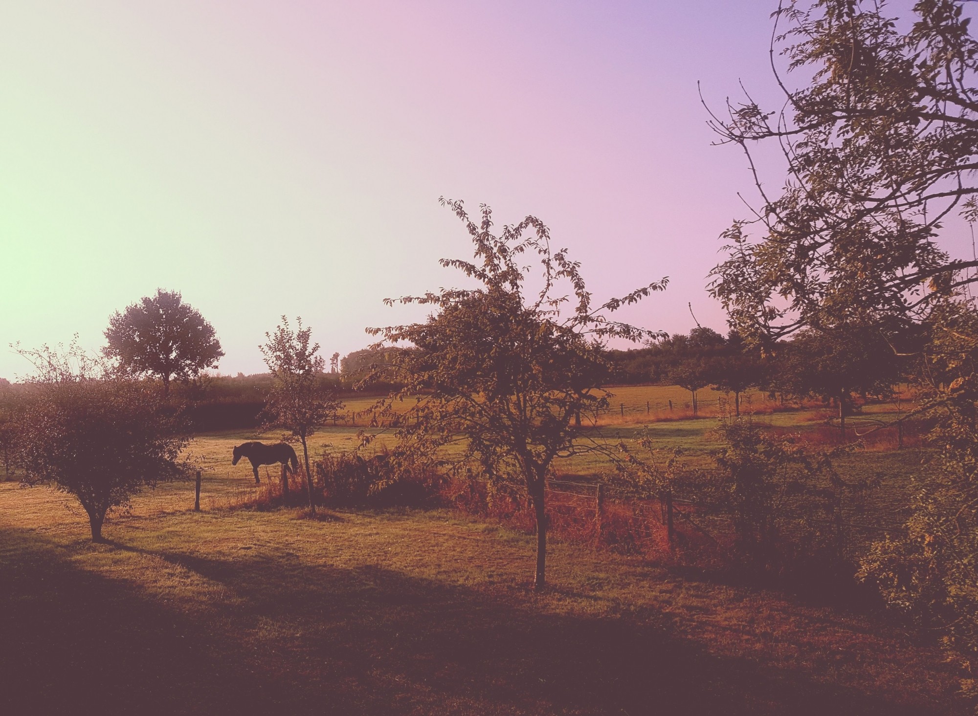 Normandy-Kirsty-Holmes