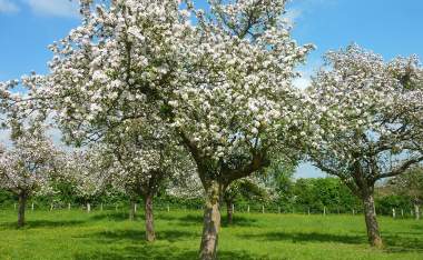 -www.calvados-tourisme.com-4