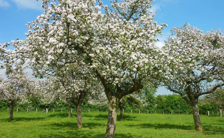 -www.calvados-tourisme.com-4