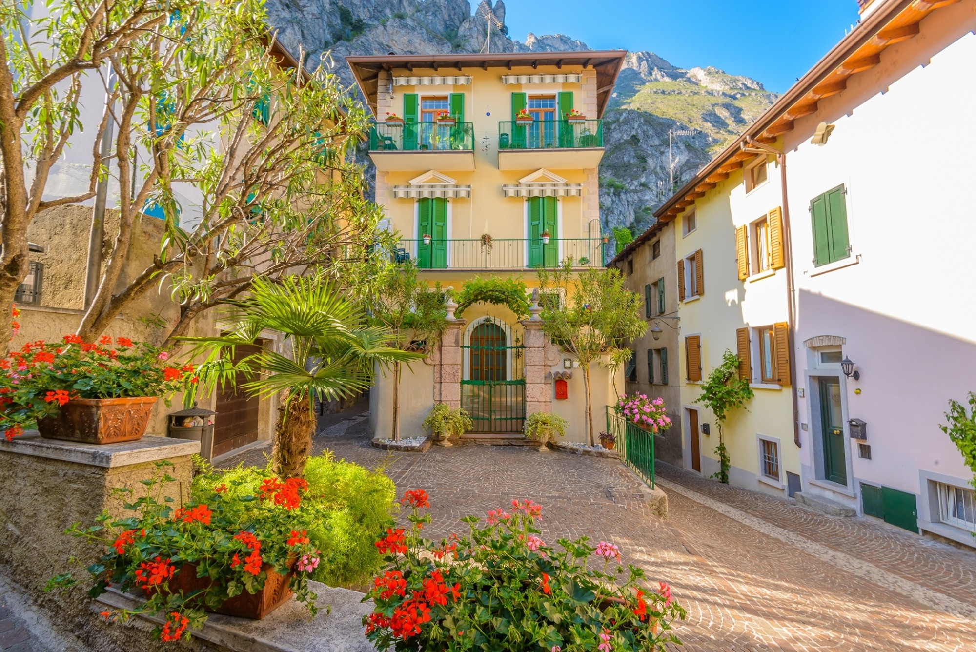 Limone_shutterstock_317380727_karamysh