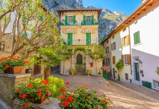 Limone_shutterstock_317380727_karamysh