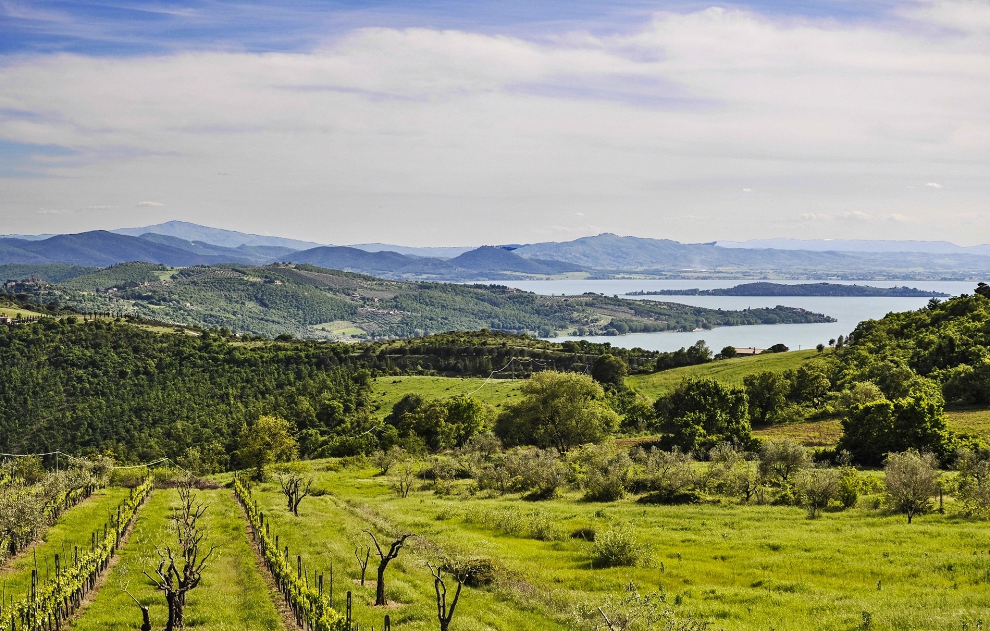Umbria-landscape-with-Lake-Trasimeno_shutterstock_193368827_patronestaff