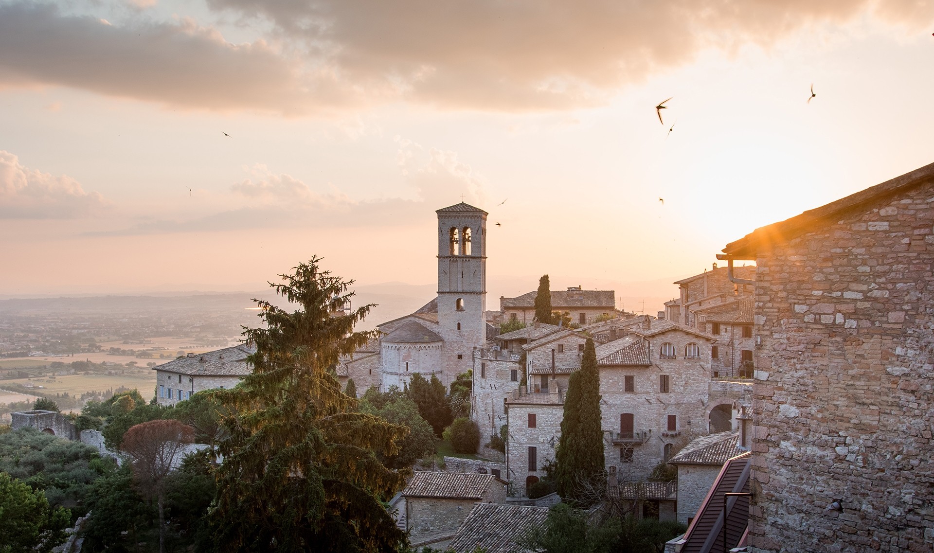 Assisi_lachlan-gowen-736911-unsplash