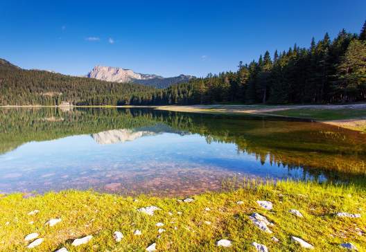 Black-lake-in-Durmitor-national-park-in-Montenegro-Europe