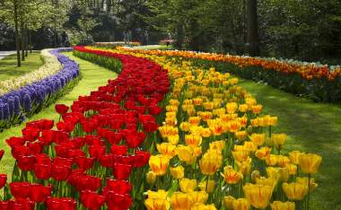 PHOTO-Park007