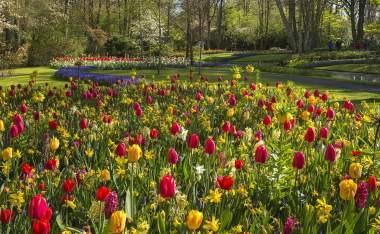 PHOTO-Park004
