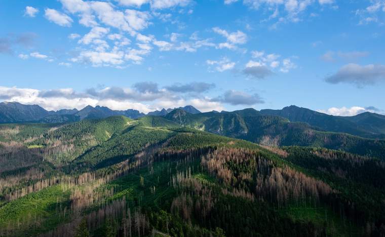 Nosal-Zakopane_marcin-szmigiel-740188-unsplash