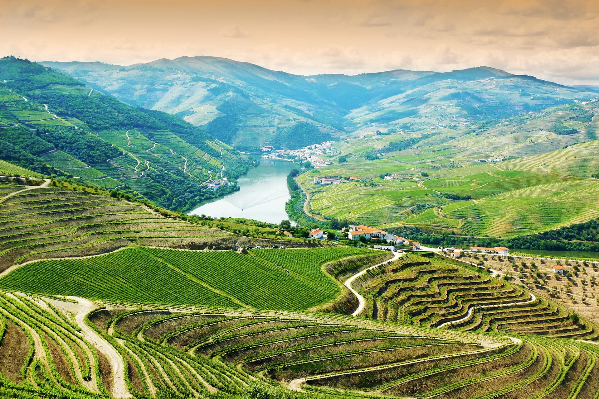 Vineyards-in-Douro-Valley-Portugal