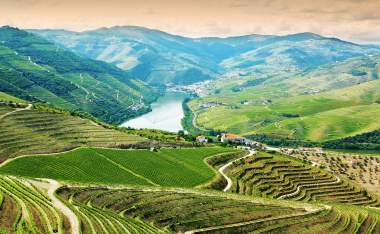 Vineyards-in-Douro-Valley-Portugal