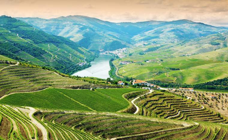 Vineyards-in-Douro-Valley-Portugal