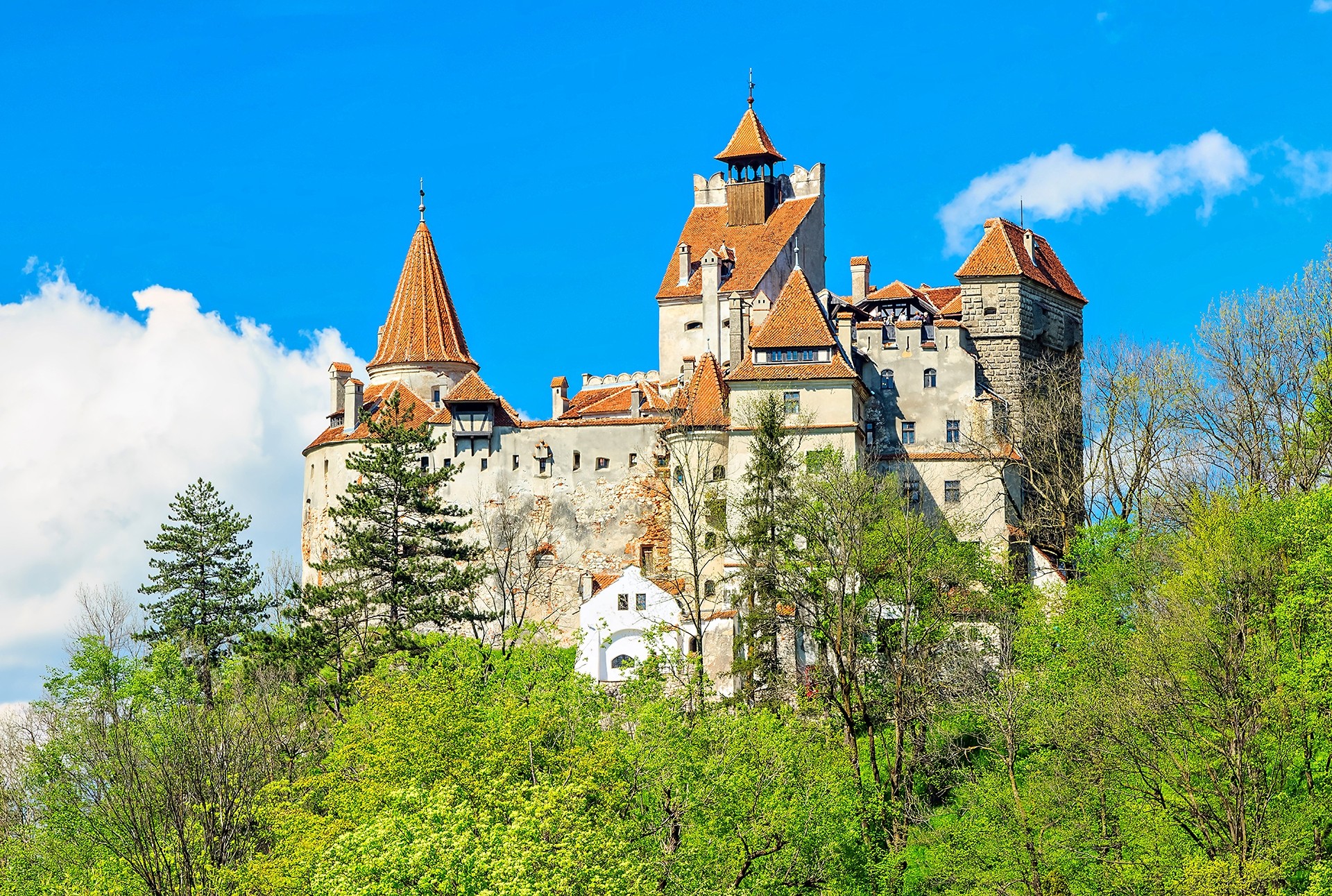Bran castle and spring landscape Transylvania Romania