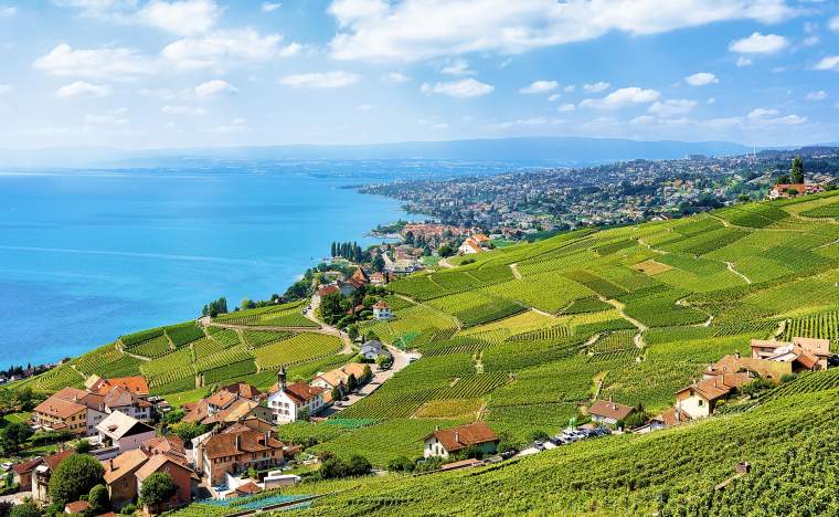 Lavaux-Vineyard-Terraces-Lake-Geneva-and-Swiss-mountains