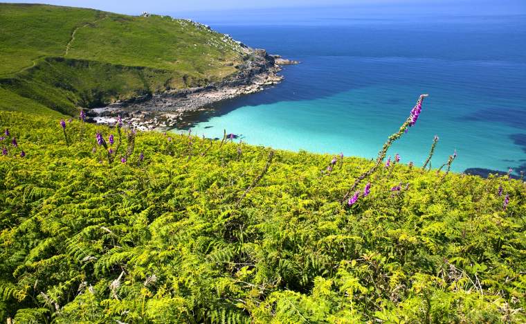 Coast-around-St-Ives-Cornwall-England