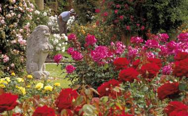 14-Hever-Castle-Rose-Garden-landscape