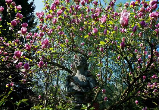 Great-Comp-Garden-1- Visit Kent