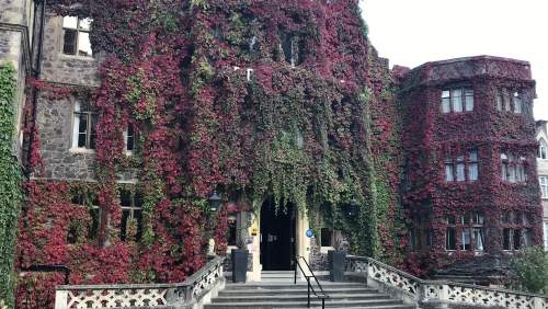 Abbey Hotel image00014