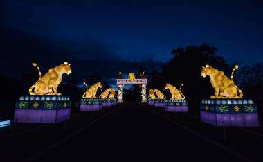 Longleat-Fo L-2