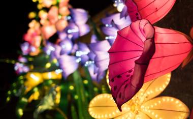 Longleat-Fo L3