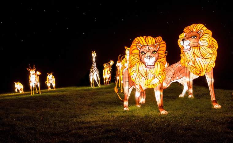 Longleat-FOL-Safari-Animals