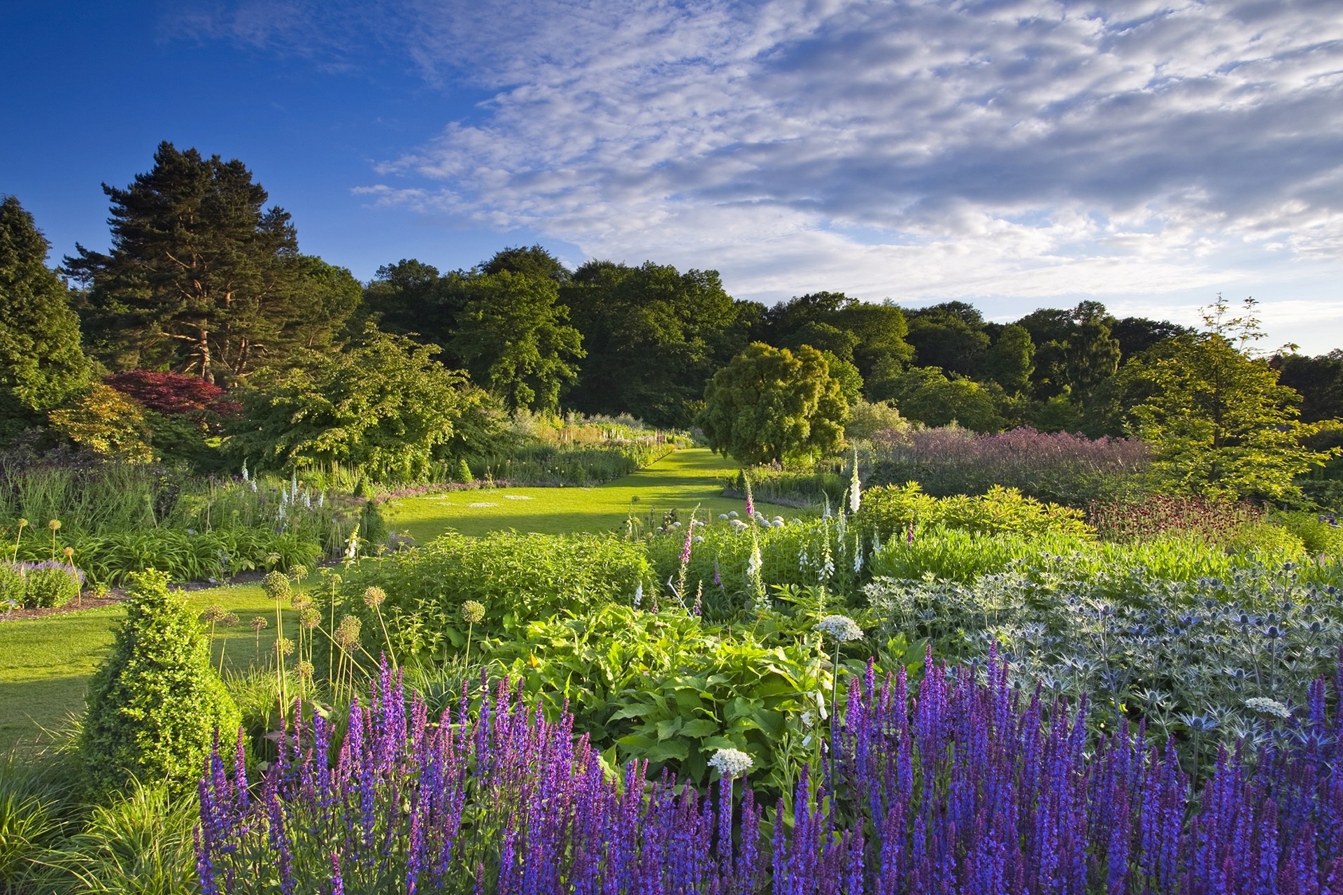 RHS-Garden-Harlow-Carr- -RHS-and-Lee-Beel