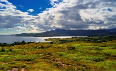 Bantry cork