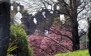 Belvedere House http www heritageisland com hi cache file 0 BB4 C219 1 DD8 B71 D A02 F61 B925876 E83 source