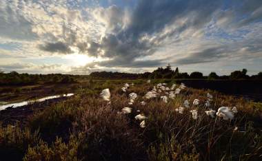 Lullymore Heritage Park Michael Anderton