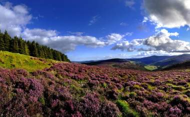 Wicklow Hills Wicklow Tourism Ireland Chris Hill