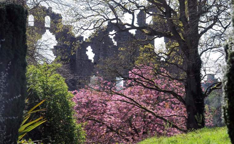 Belvedere House http www heritageisland com hi cache file 0 BB4 C219 1 DD8 B71 D A02 F61 B925876 E83 source