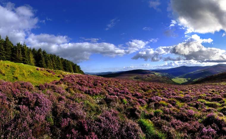 Wicklow Hills Wicklow Tourism Ireland Chris Hill