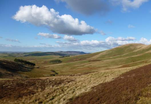 Cowiemuir-Hass- -Alan-ODowd