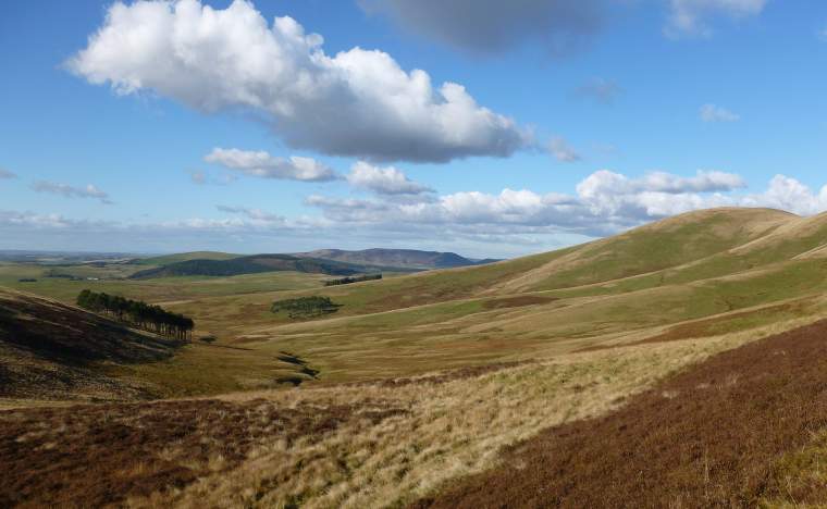 Cowiemuir-Hass- -Alan-ODowd