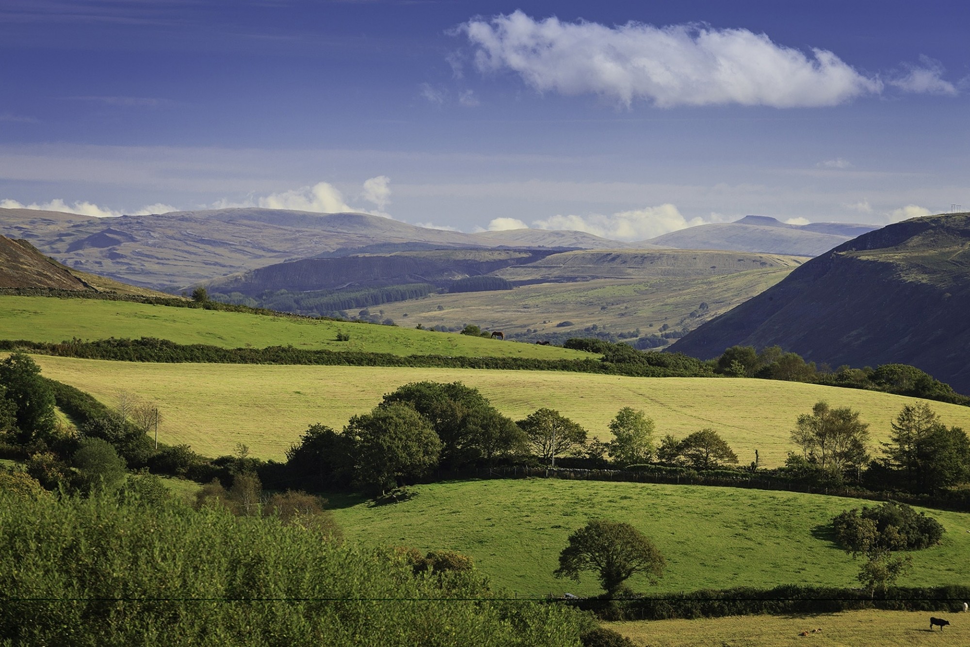 -Crown-copyright-2014-Visit-Wales-3